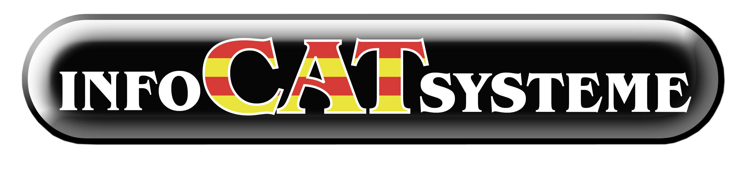 Logo infocatsysteme
